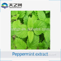 China Supplier Food and Beverage Additive Peppermint Leaf Extract powder 10:1 , Peppermint leaves Extract Powder